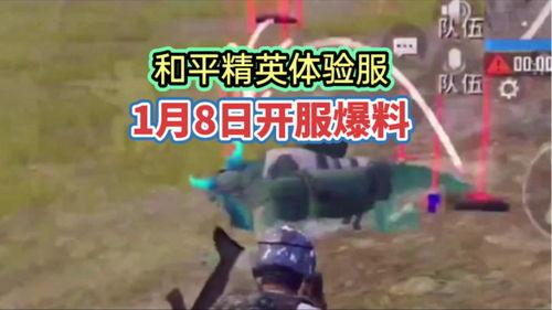 和平区体验服最新爆料,揭秘神秘游戏内容与玩法革新